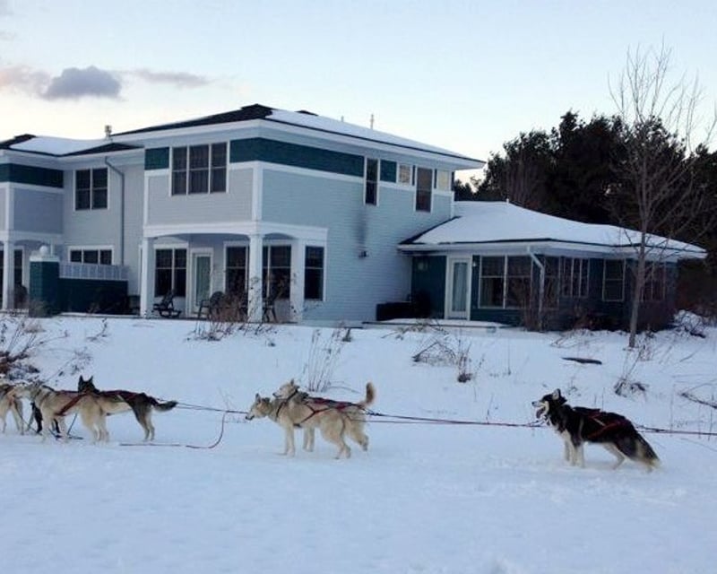 Evening Dog Sled Ride in Stowe
