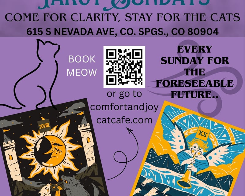 Tarot Card Reading & Cat Cafe Visit in Colorado Springs