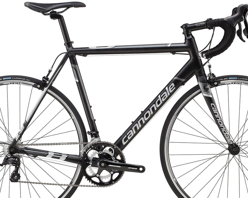 Ride a Road Bike Rental in Santa Monica