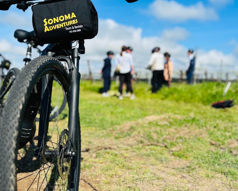 Scenic Sonoma Wine Country Bike Tour Without Tastings