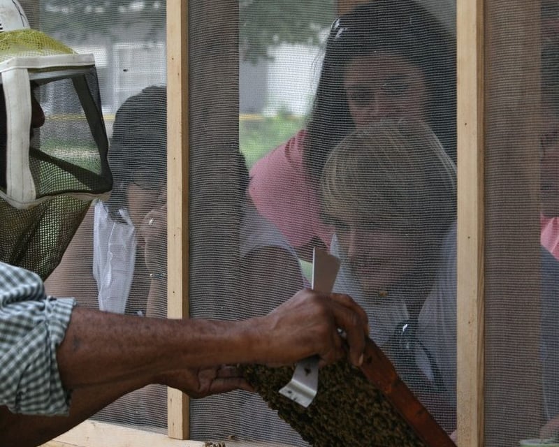 Private Beekeeping Tour in Navasota