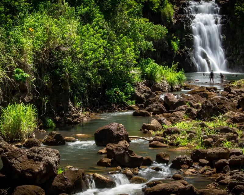 Oahu Circle Island Tour from Waikiki with Waimea Falls