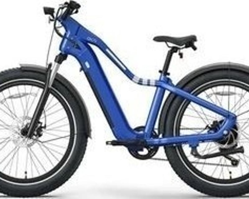 All-Terrain E-Bike Rental in Newport Beach