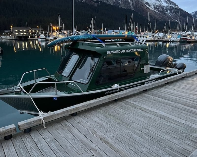 Full-Day Private Glacier & Wildlife Charter in Seward
