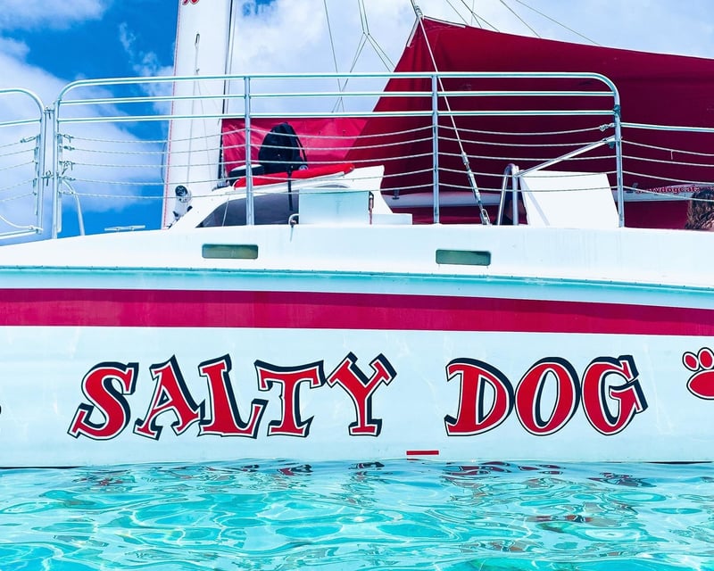 Catamaran Day Sail & Reef Snorkeling from Fajardo