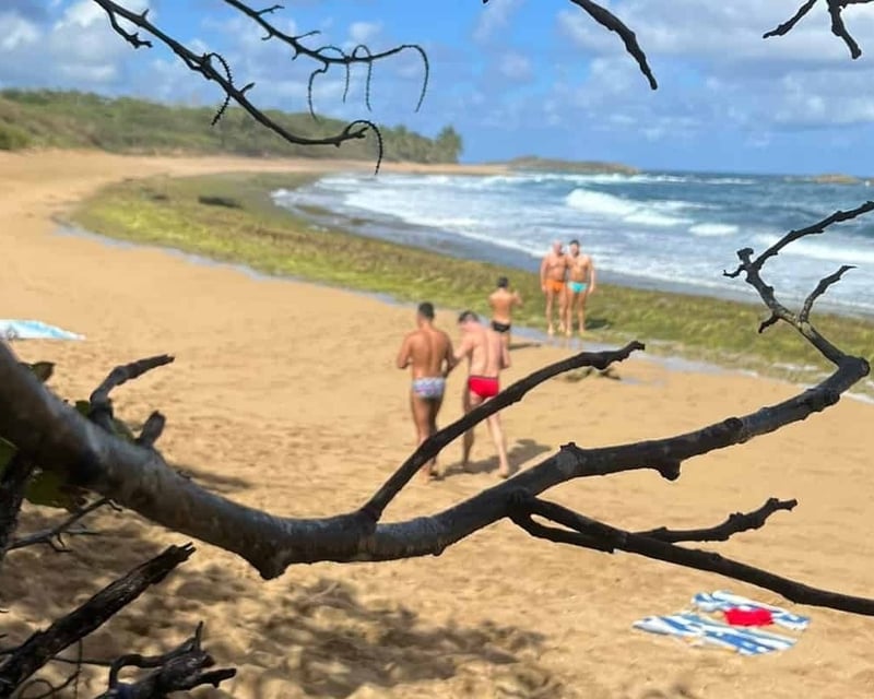 Addon image