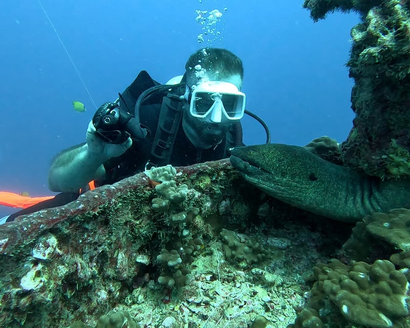 Sea Tiger Wreck & Night Reef Dive with Fireworks in Honolulu