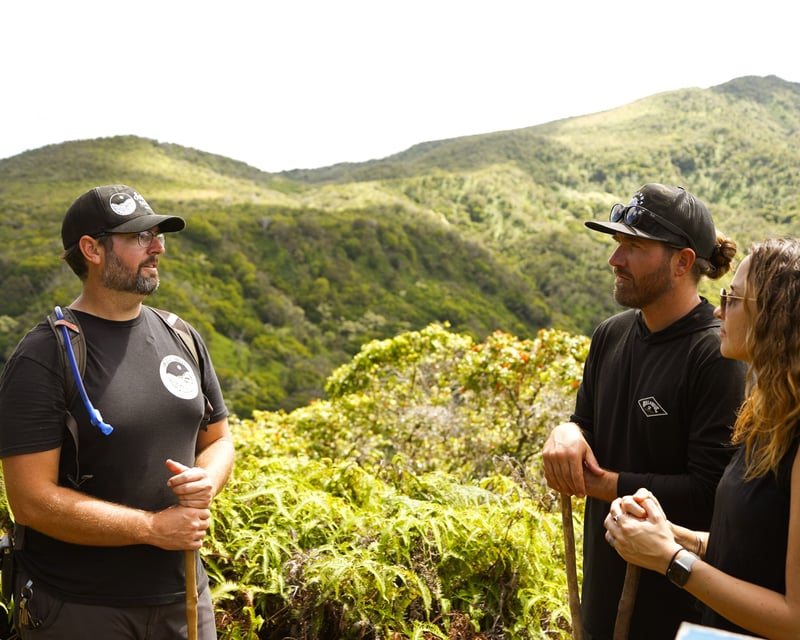 Private Honolua Ridgeline Hike Above Kapalua, Maui