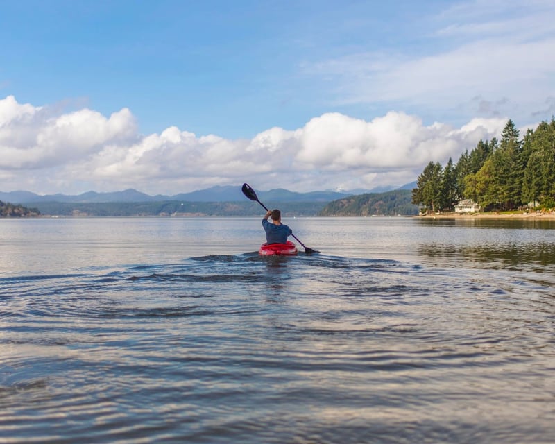 3-Hour Canoe Rental in Pinckney