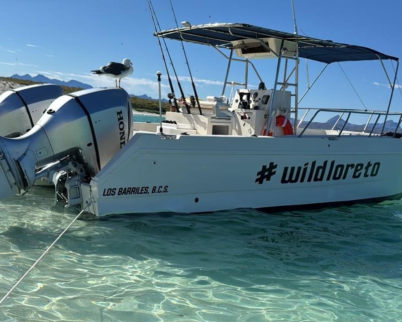 Private Catamaran Snorkel & Fishing Charter in Loreto