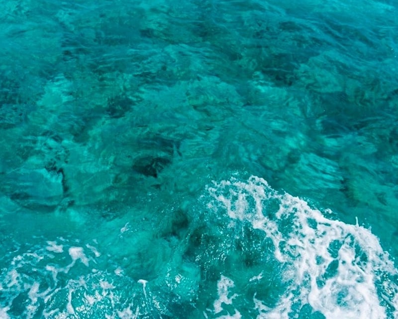 Fajardo Marine Life & Conservation Tour