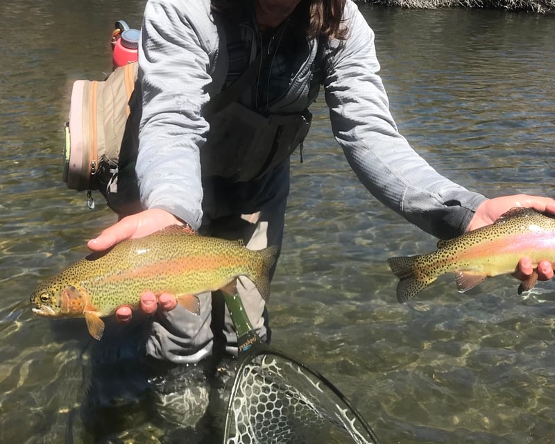 Salmon River Guided Fly Fishing Class