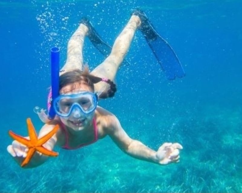 2-Hour Snorkel Excursion at Shell Island