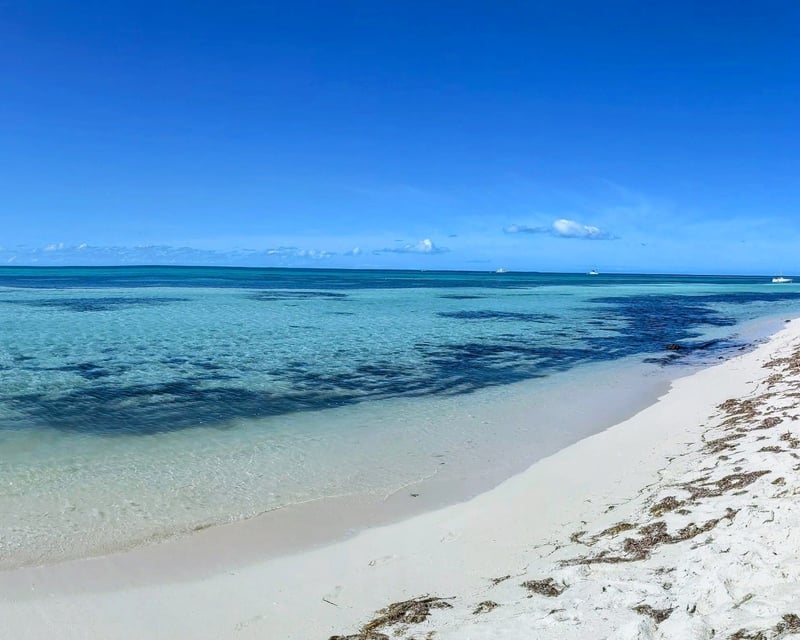 Private Backcountry Sandbar & Snorkel Charter in Key West