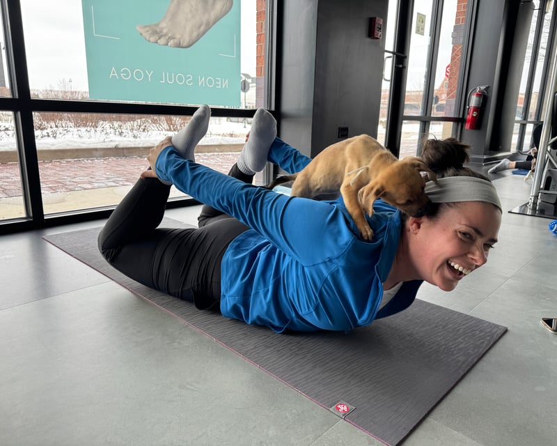 Puppy Yoga Experience in South Barrington