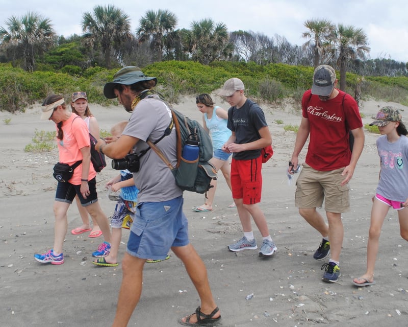 Shark Tooth & Fossil Hunting Tour to Morris Island