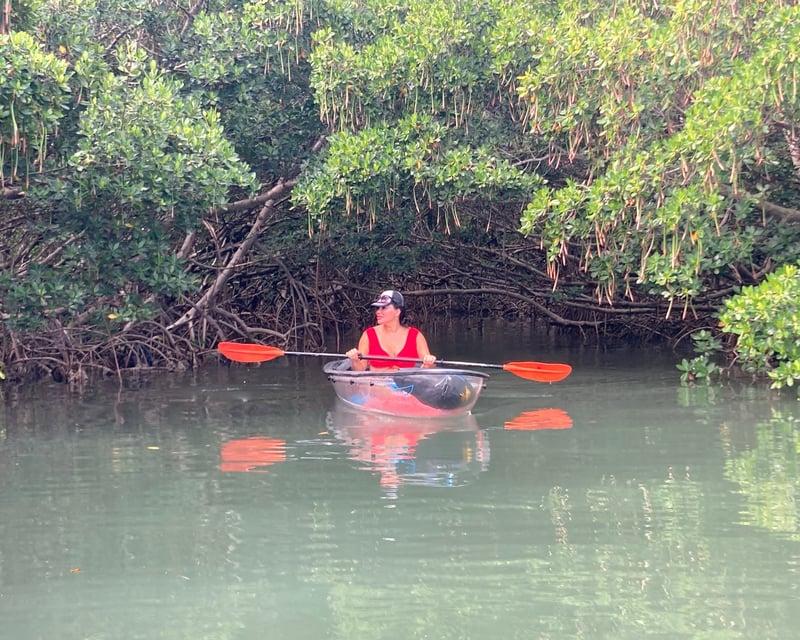 Kayak & Paddleboard Rental to Sandbar in Treasure Island