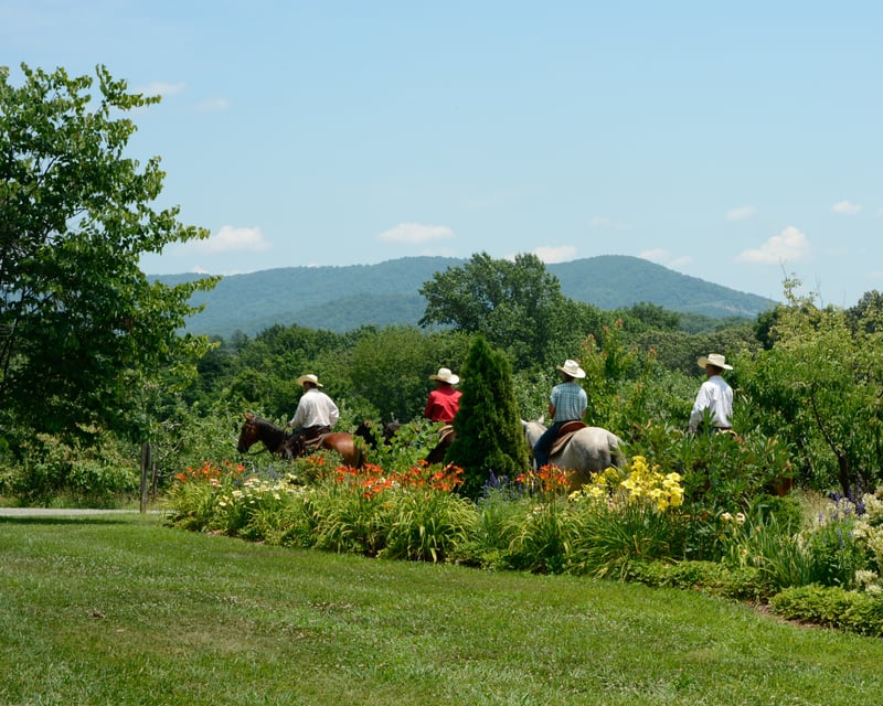 Private Guided Horseback Ride Near Charlottesville