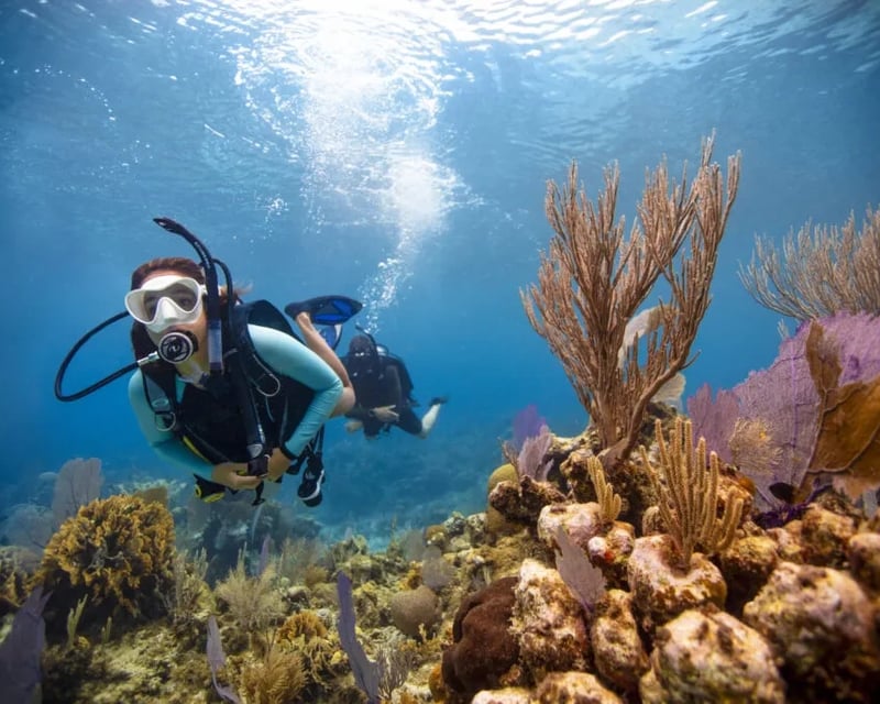 Key Largo Reef & Wreck Dive Package