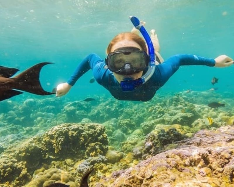 Small-Group Snorkeling Tour in Kailua-Kona