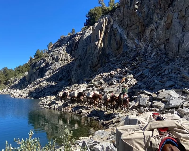 Full-Day Fishing Trip in Bishop
