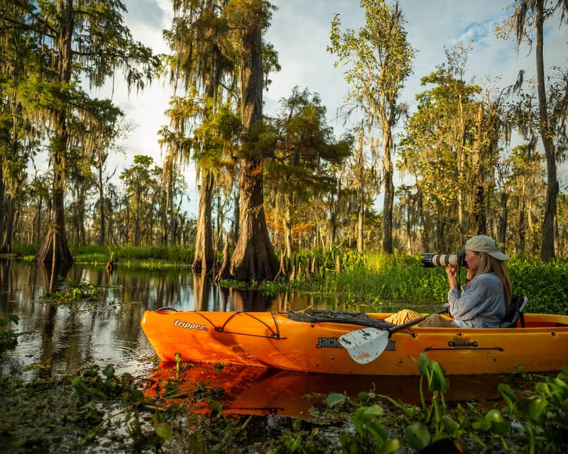 Cypress Swamp Landscape Photography Workshop