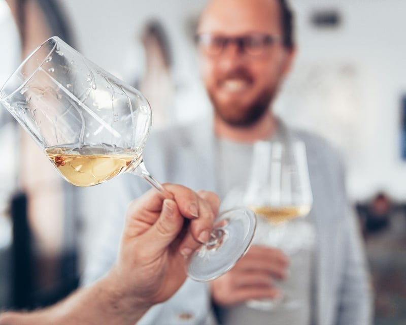 Premier Sommelier-Guided Wine Tasting Tour