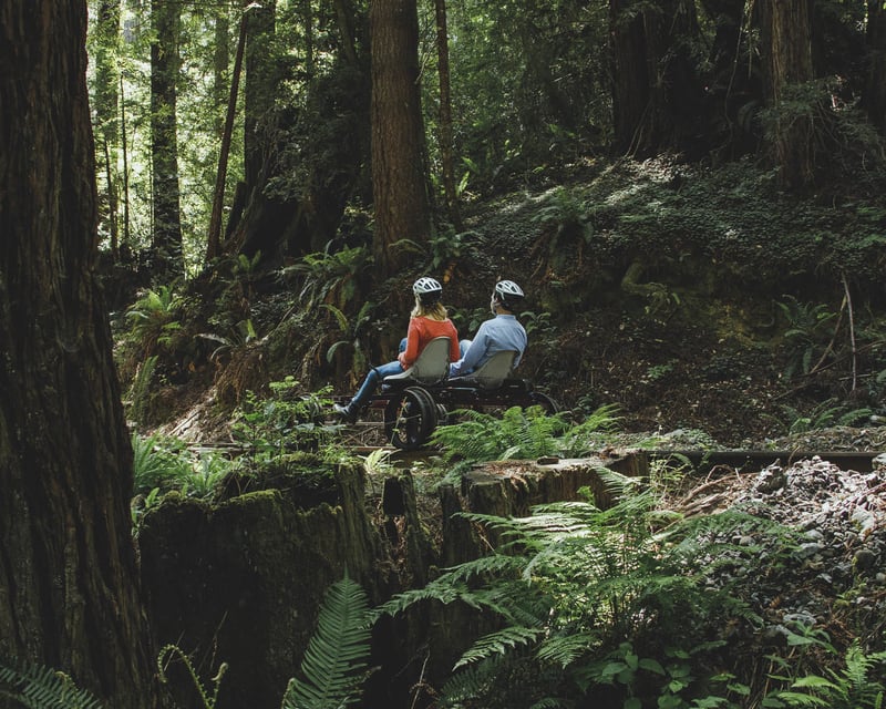 8 Family-Friendly Railbike Tours Worth Booking This Year