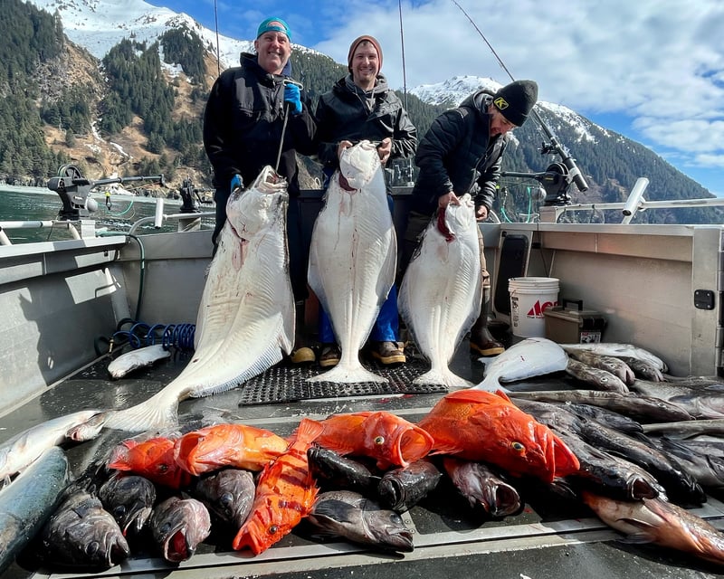 Halibut & King Salmon Fishing Charter in Homer, Alaska
