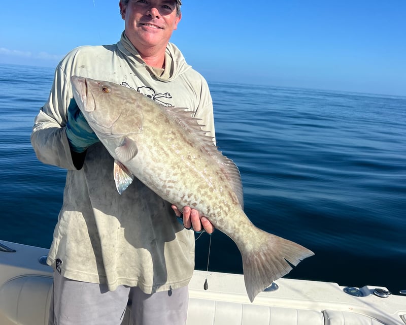 8-Hour Guided Fishing Charter in Fort Myers
