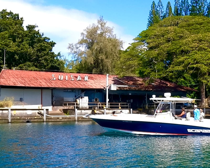 Hilo Humpback Whale Watching Cruise