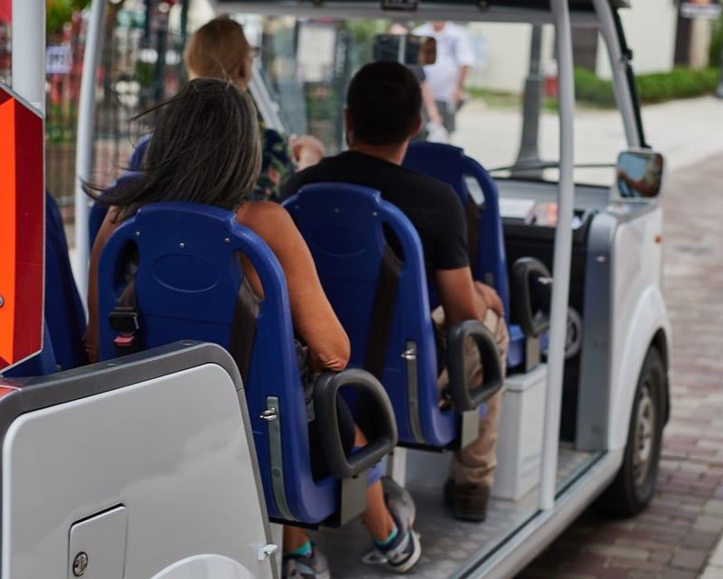 History & Food Tour by Electric Cart in St. Augustine