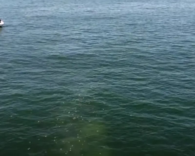 Burial at Sea Ceremony Cruise from Huntington Beach