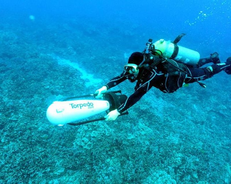 Kona Blackwater Scuba Dive