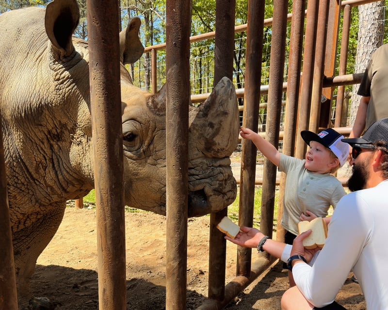 Broken Bow Wildlife Safari with Animal Encounters