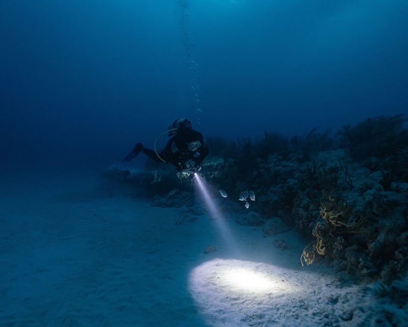 Explore West Oahu on a 2-Tank Scuba Diving Charter