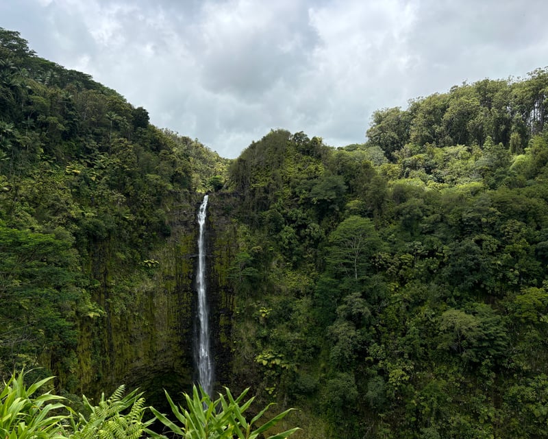 Guided Reef & Rainforest Tour in Hilo