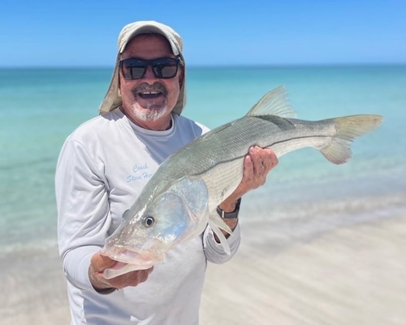 Guided Beach & Pier Fishing Trip in Sarasota