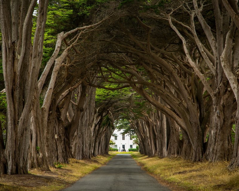 Muir Woods & Point Reyes Hiking Tour from San Francisco