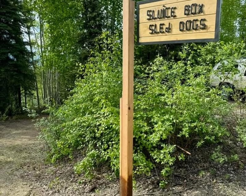 Fairbanks Forest Hike & Husky Kennel Visit