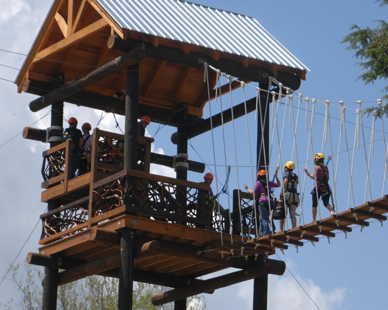 4-Line Guided Zipline Tour in Helen