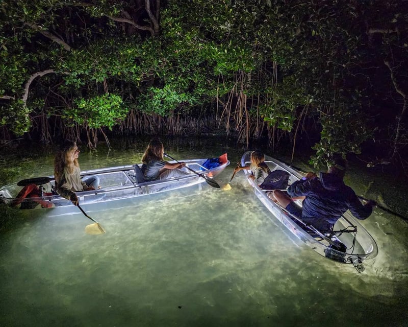 Clear Kayak LED Night Tour in Siesta Key