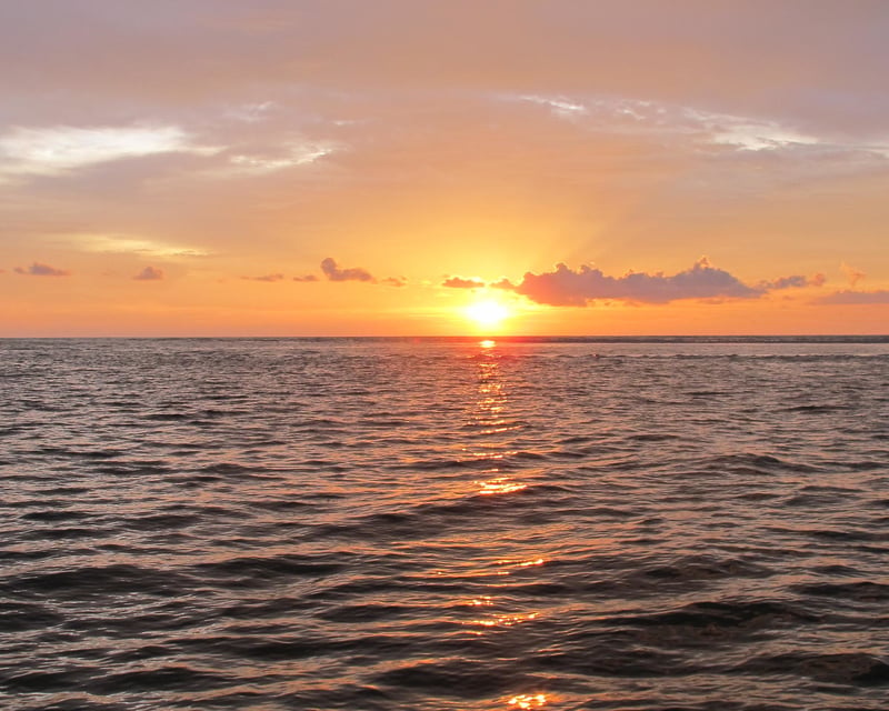 Private Sunset Boat Tour in Osprey, FL