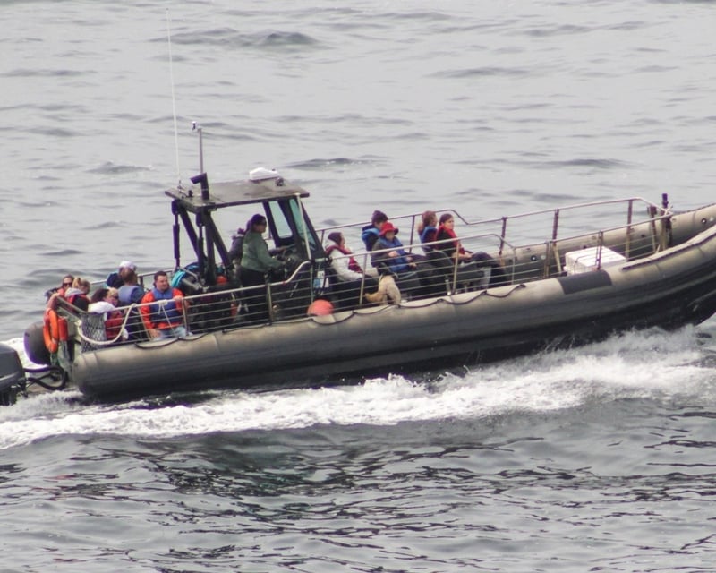 90-Minute Whale Watching Tour in Depoe Bay