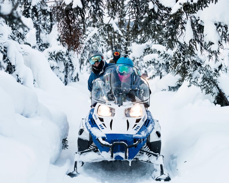 Beginner-Friendly Snowmobile Tour in Fairbanks