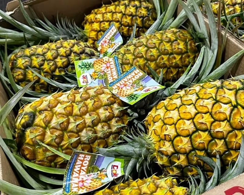 Dole Pineapple Farm & Haleiwa Tour on Oahu's North Shore