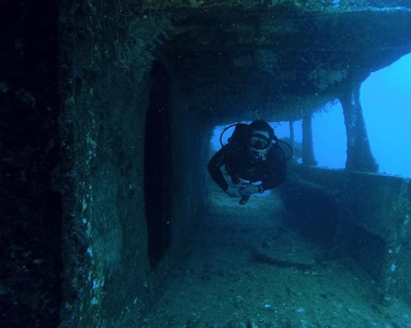 Dive Waikiki Shipwrecks & Reefs in 3.5 Hours