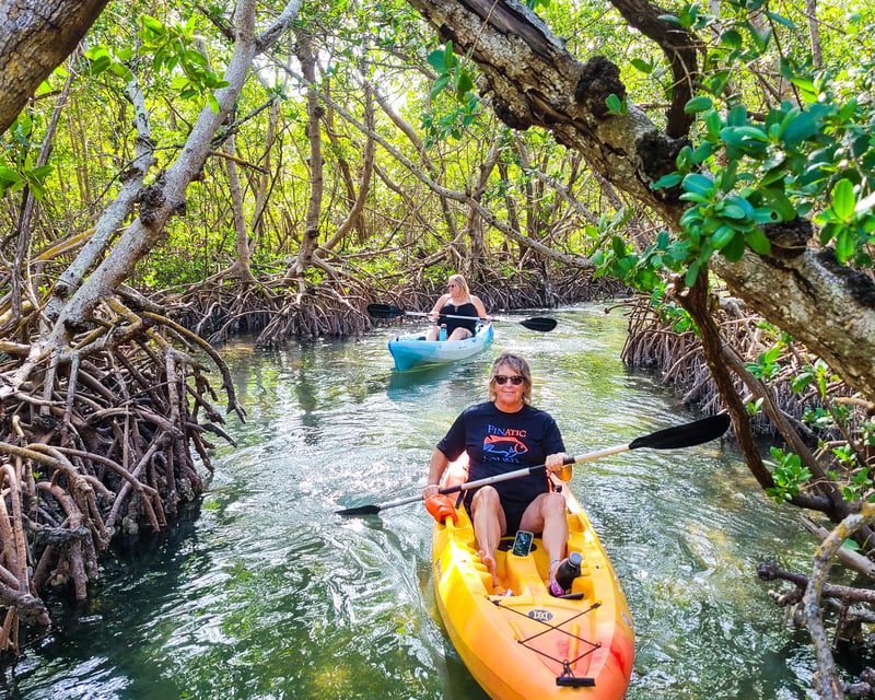 Lido Key Mangrove Tunnel Kayak & Paddleboard Tour