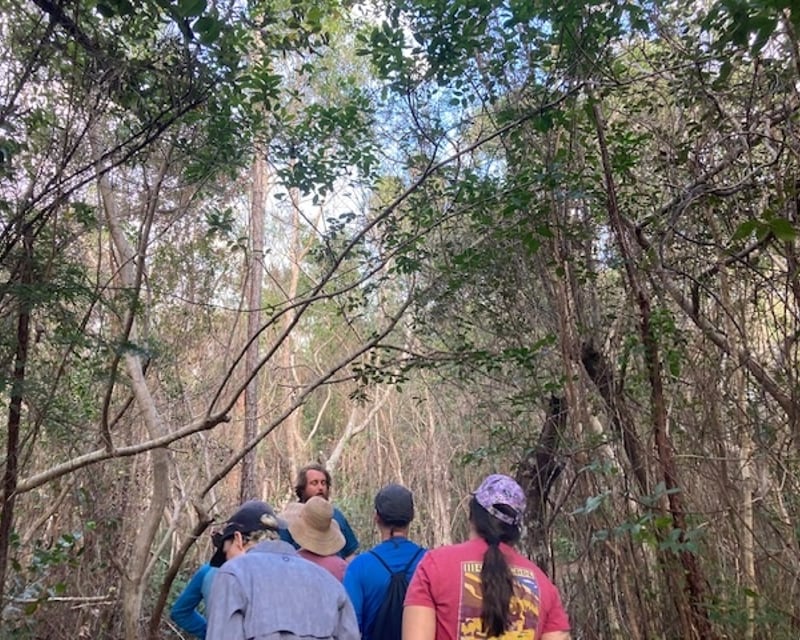 Everglades Guided Tour & 90-Minute Boat Trip