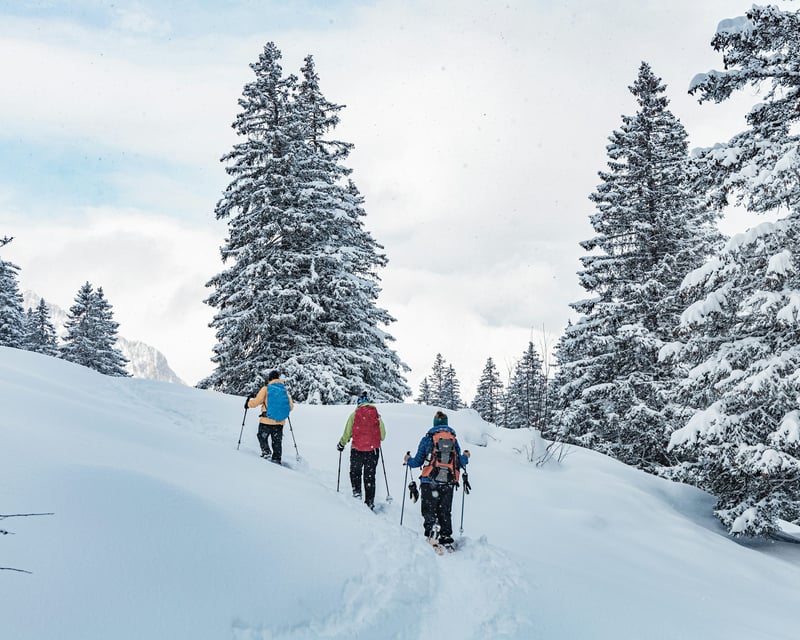 Guided Snowshoe Tour to Bald Knob in Mt. Spokane State Park